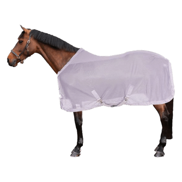 جل توری تابستانی