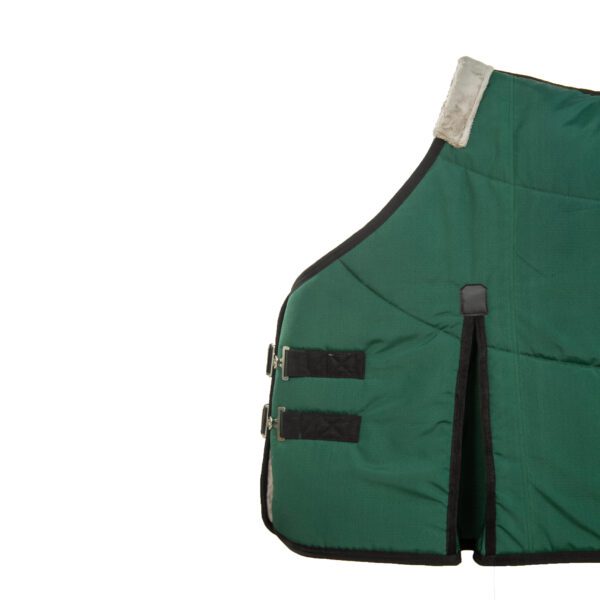 جل پاییزه اصطبل نانو - تصویر 5