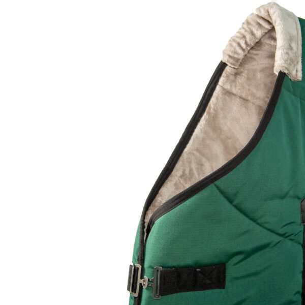 جل پاییزه اصطبل نانو - تصویر 6